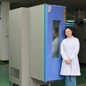  可程式恒温恒湿试验箱测试舞台灯优势