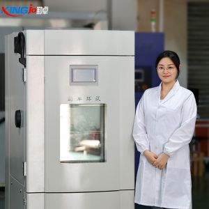 可程式恒温恒湿试验箱：通讯线研发可靠性测试核心设备